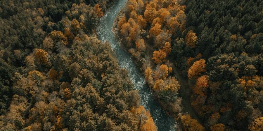 State Hunting Seasons